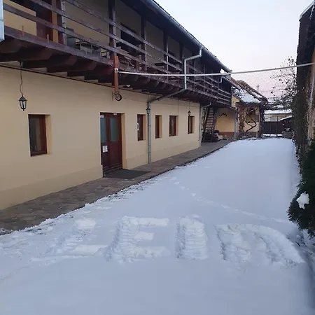 Pensiunea Leia Cârțișoara Exterior photo