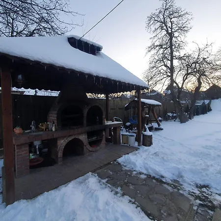 Pensiunea Leia Cârțișoara Exterior photo